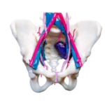 HE AAA D M removebg preview