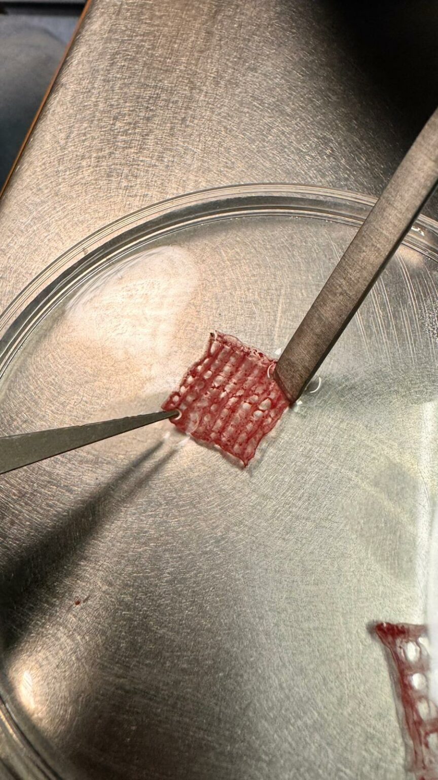 Bioimpresión 3D