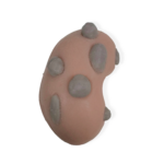 Renal Tumor Resection Simulator